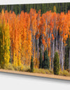 Fall Trees Panorama - Landscape Wall Artwork