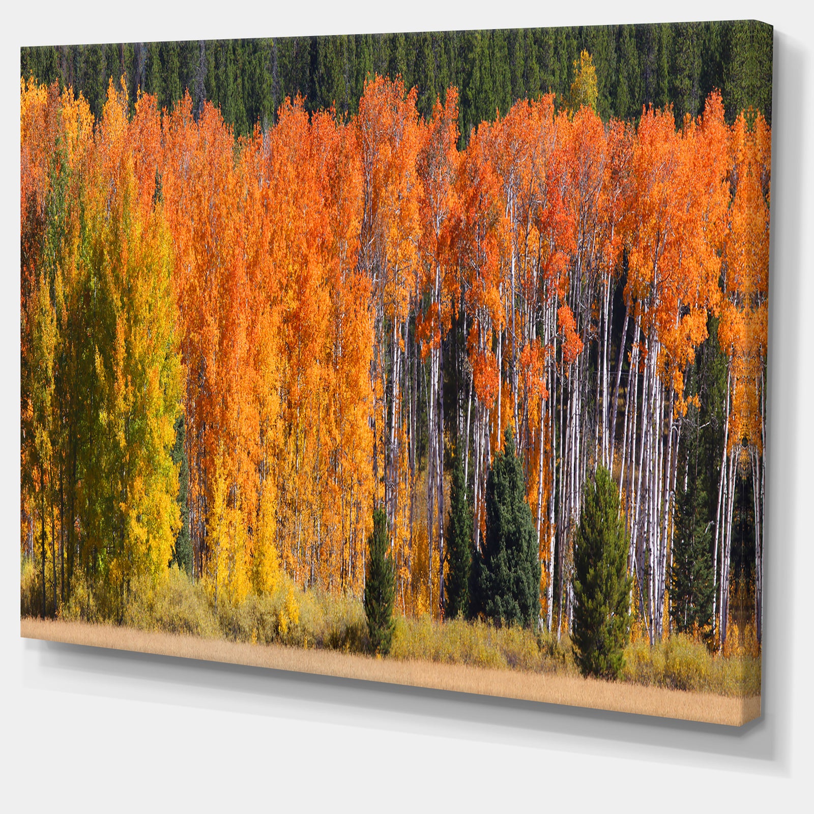 Fall Trees Panorama - Landscape Wall Artwork