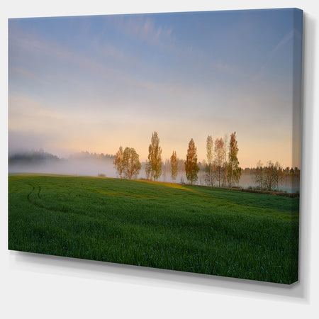 Foggy Early Morning Panorama - Landscape Wall Artwork