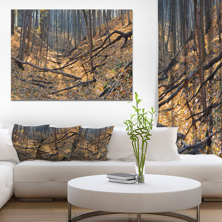 Thick Autumn Forest Panorama - Landscape Wall Artwork