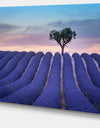 Lonely Trees Uphill on Sunset - Landscape Wall Artwork