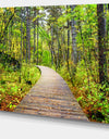 Wooden Boardwalk across Forest - Landscape Wall Artwork