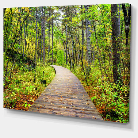 Wooden Boardwalk across Forest - Landscape Wall Artwork