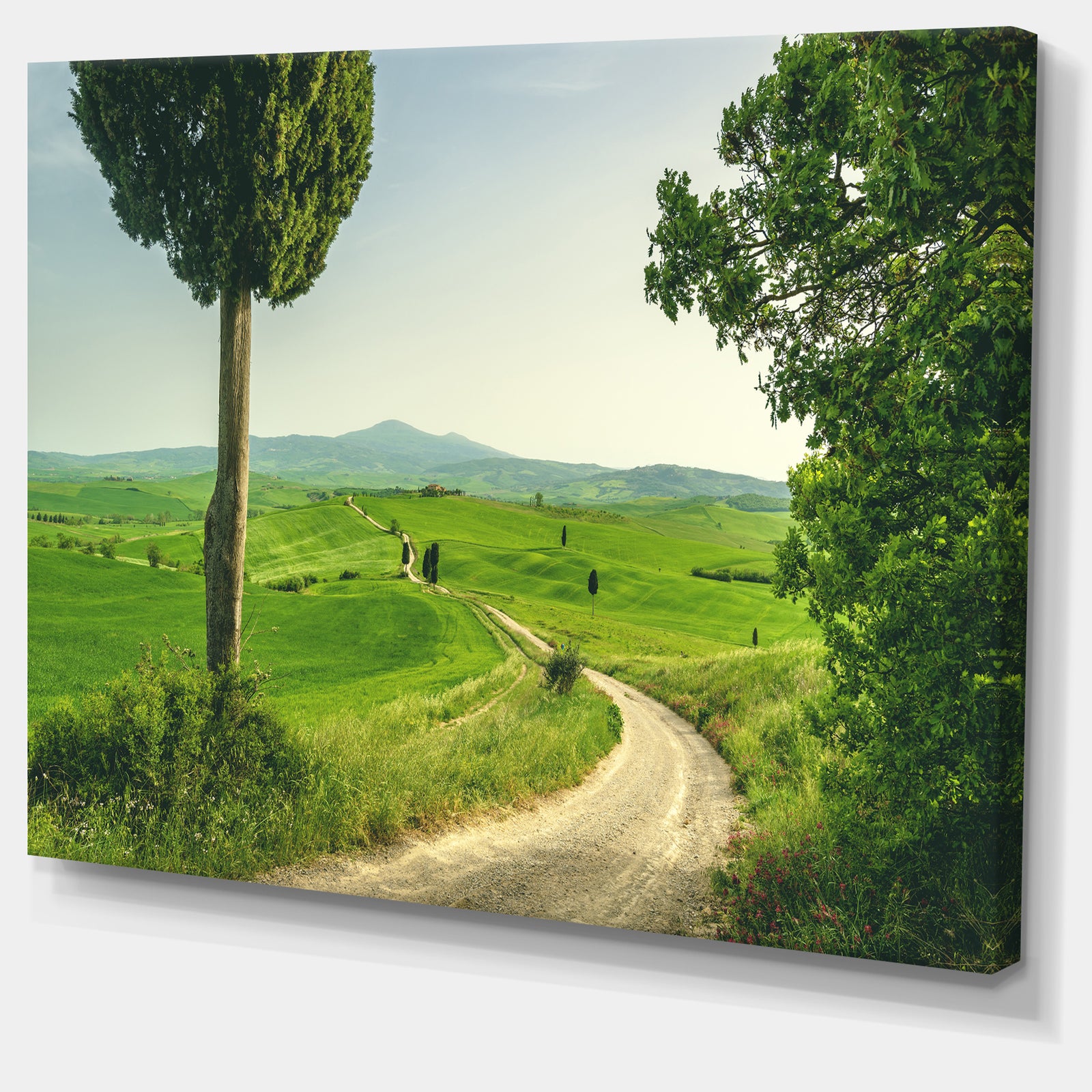 Tuscan Place in Rural Area - Landscape Wall Artwork