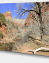 Red Rock Mountain in Zion Park - Landscape Wall Artwork