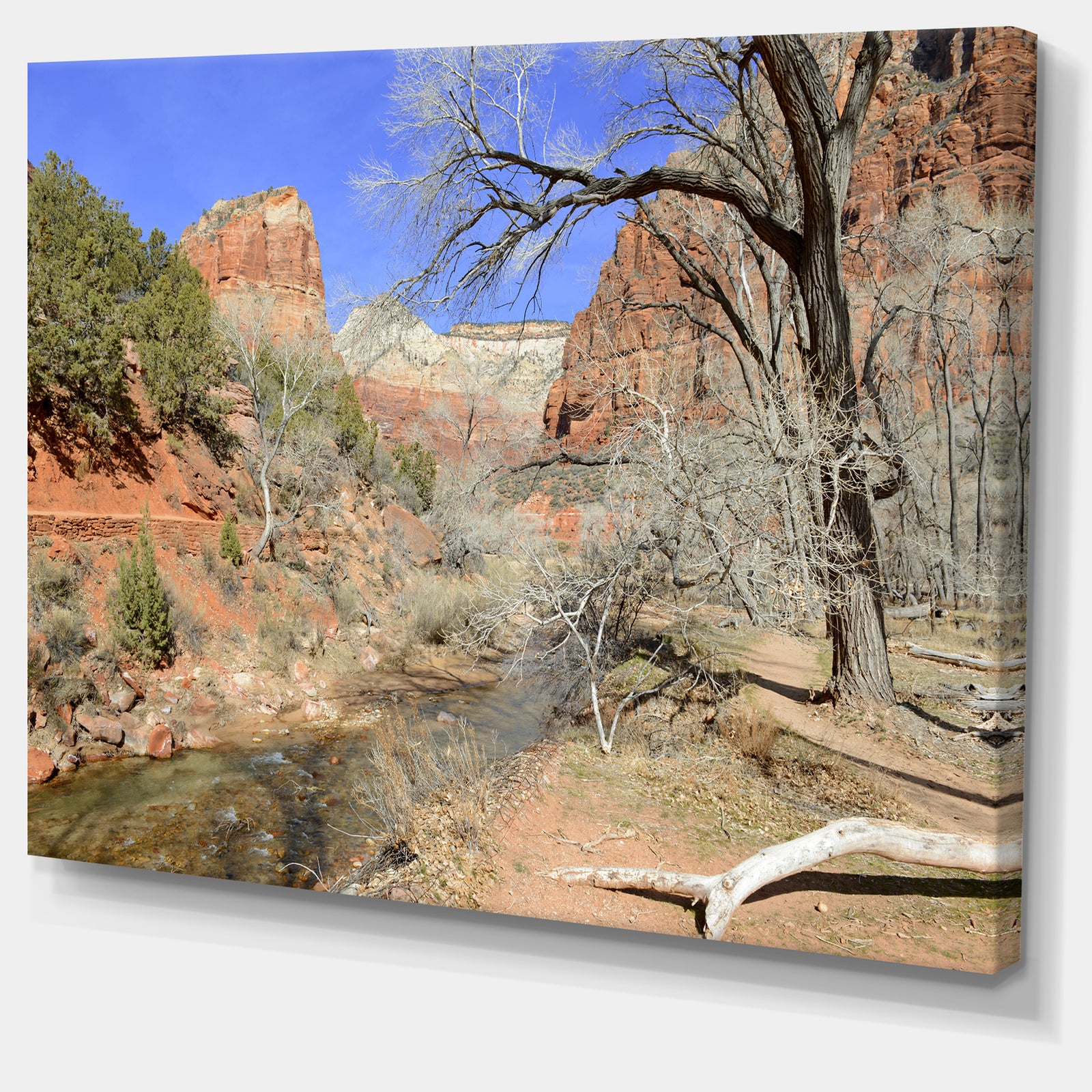 Red Rock Mountain in Zion Park - Landscape Wall Artwork