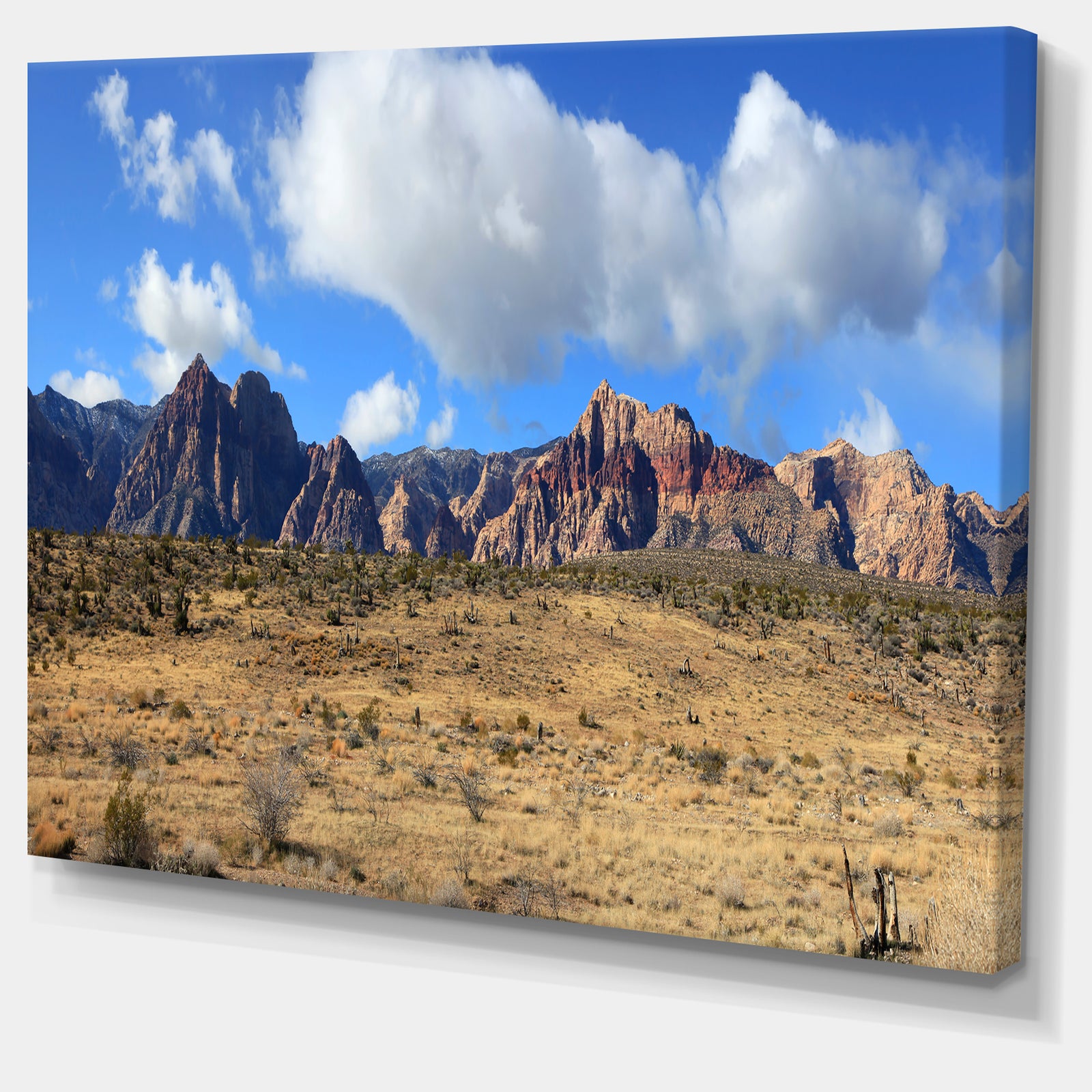 Red Rock Canyon Landscape - Landscape Wall Artwork