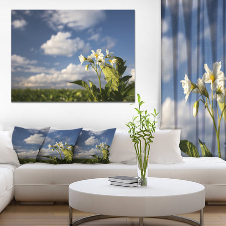 Potato Plant Flowers - Landscape Wall Artwork