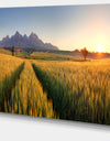 Path in the Wheat Field - Landscape Wall Artwork