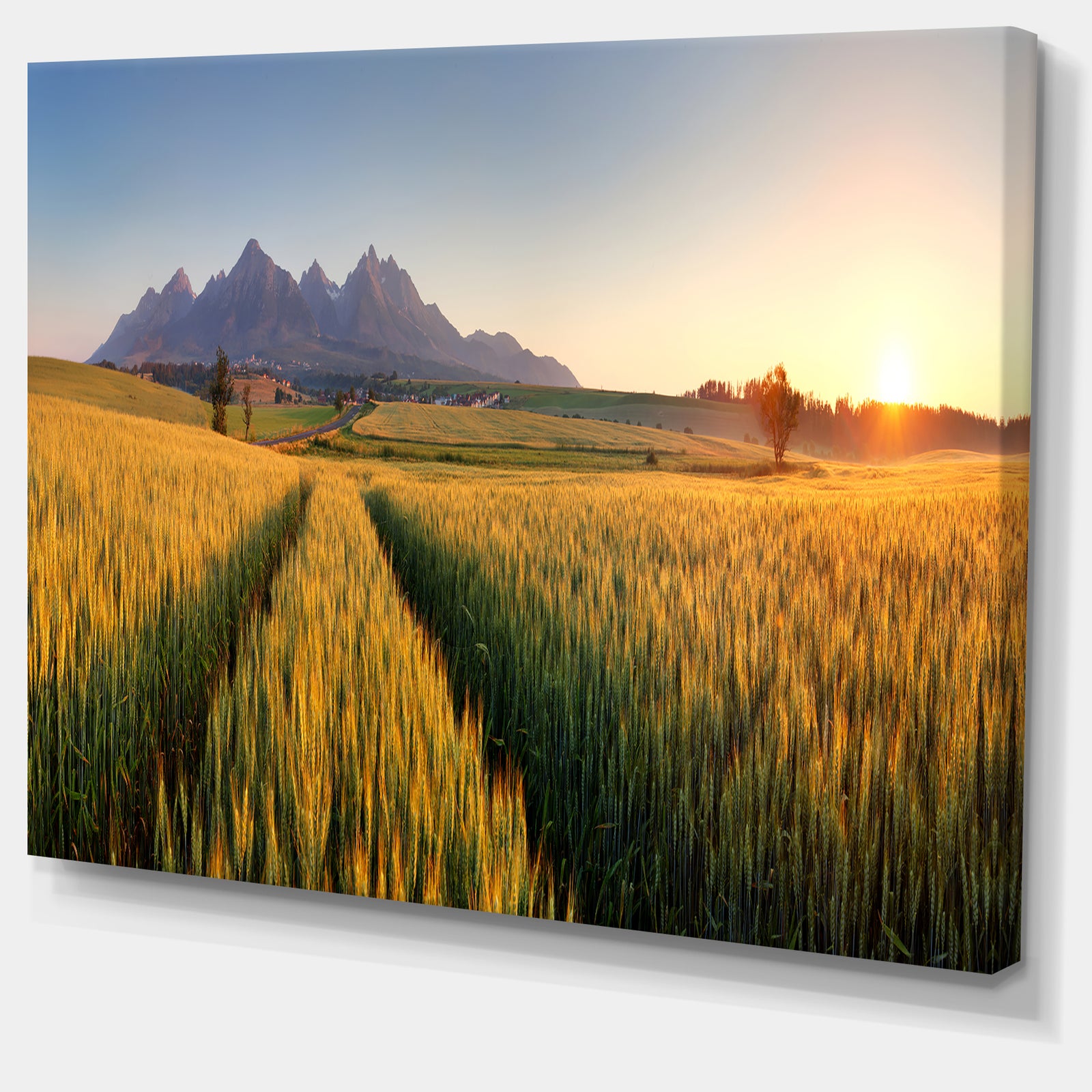 Path in the Wheat Field - Landscape Wall Artwork