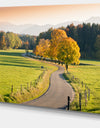 Winding Country Road in the Fall - Landscape Wall Artwork