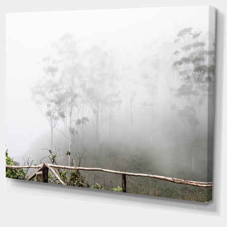 Fogs on Western Ghats Hills - Landscape Wall Artwork
