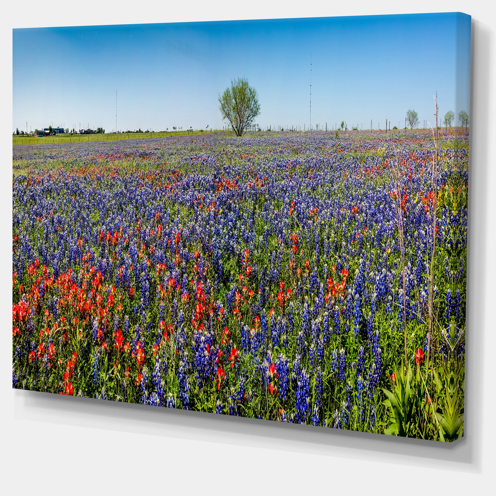 Floral Art - Landscape Wall Artwork