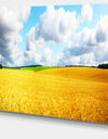 Beautiful Field Panorama - Landscape Wall Artwork