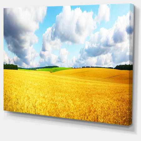 Beautiful Field Panorama - Landscape Wall Artwork