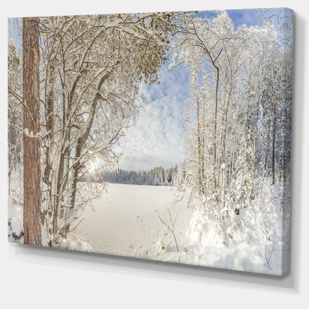 Lake in Winter Woods - Landscape Wall Artwork