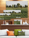 Wisconsin Soybean Field Rows - Landscape Wall Artwork