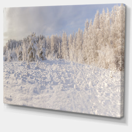 Wood Winter Glade - Landscape Wall Artwork