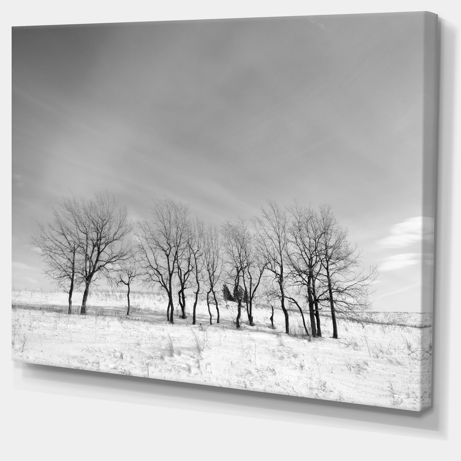 Design Canvas Art Print 'Black and White Trees in Winter - Extra Large Landscape Canvas Art Print