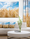 Design Canvas Art Print 'Barley Field under Blue Sky - Extra Large Landscape Canvas Art Print