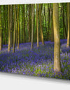 Bluebell Woods in Oxfordshire - Extra Large Landscape Canvas Art Print