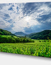 Thunderstorm Weather over Vineyards - Extra Large Landscape Canvas Art Print