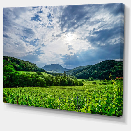 Thunderstorm Weather over Vineyards - Extra Large Landscape Canvas Art Print