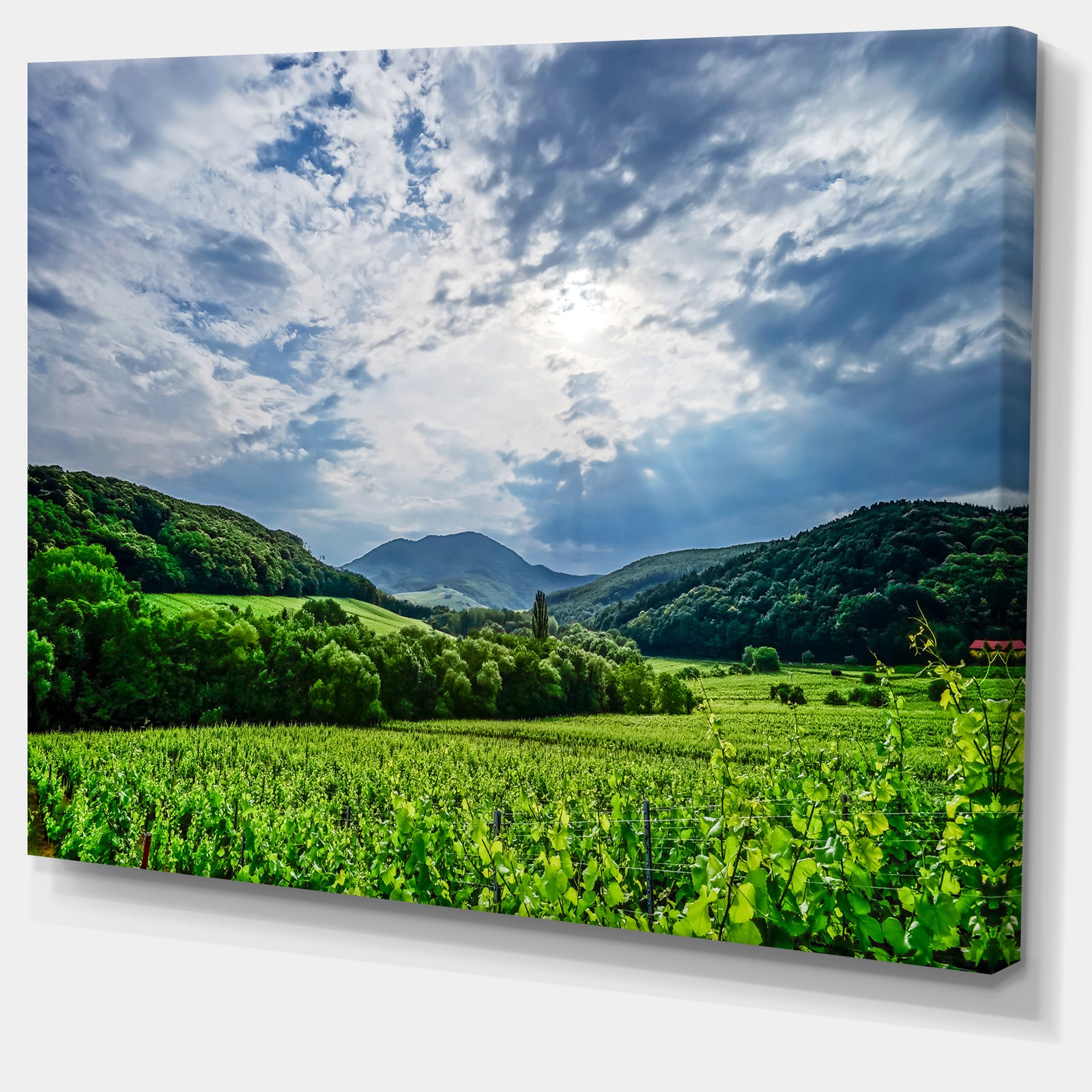 Thunderstorm Weather over Vineyards - Extra Large Landscape Canvas Art Print