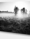 Rural Meadow in Mist - Extra Large Landscape Canvas Art Print