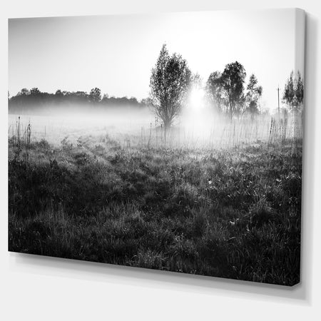 Rural Meadow in Mist - Extra Large Landscape Canvas Art Print