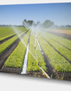 Beautiful View of Crops Watering - Extra Large Landscape Canvas Art Print