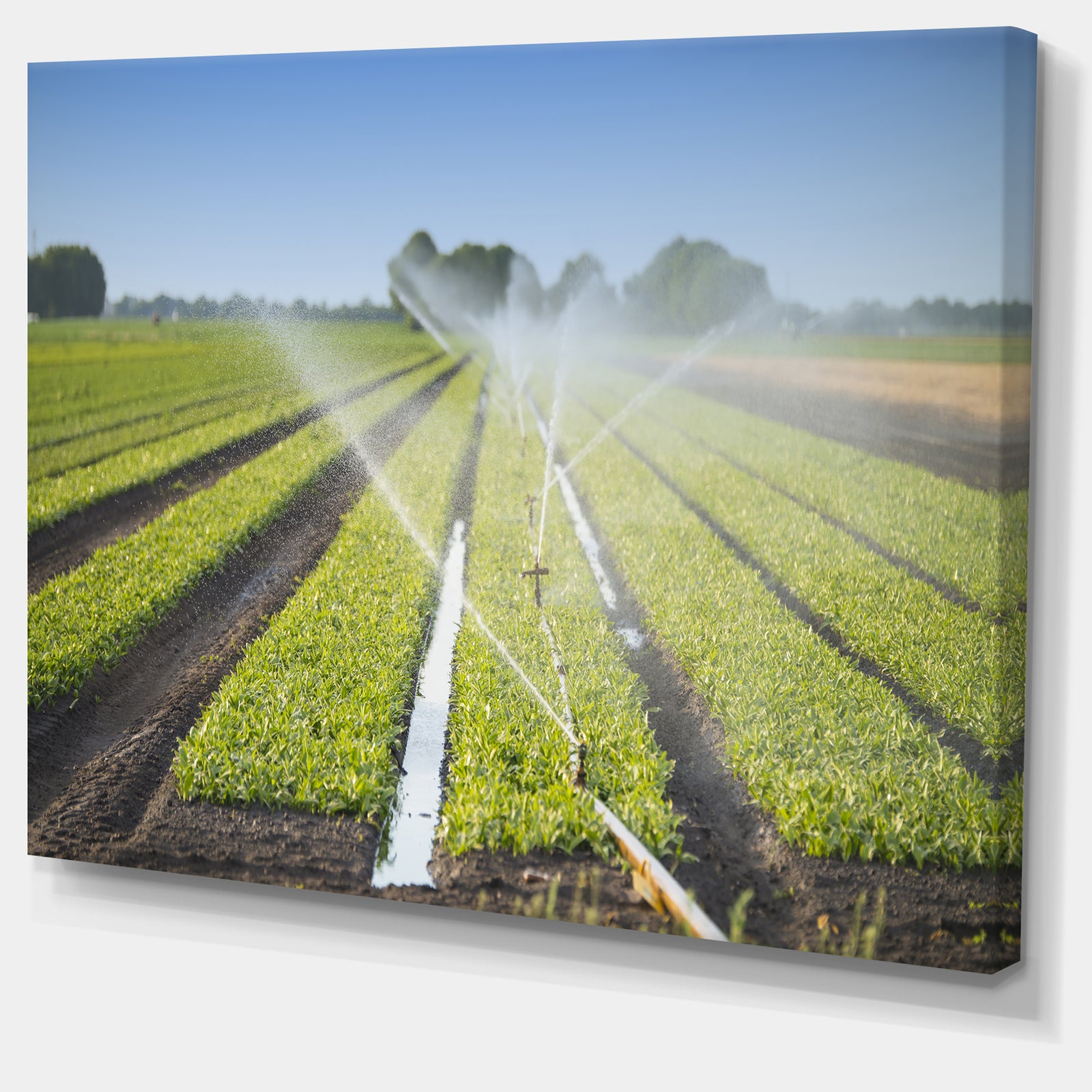Beautiful View of Crops Watering - Extra Large Landscape Canvas Art Print