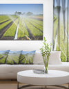 Beautiful View of Crops Watering - Extra Large Landscape Canvas Art Print