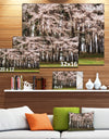 Cherry Blossoms in Pine Tree - Extra Large Landscape Canvas Art Print