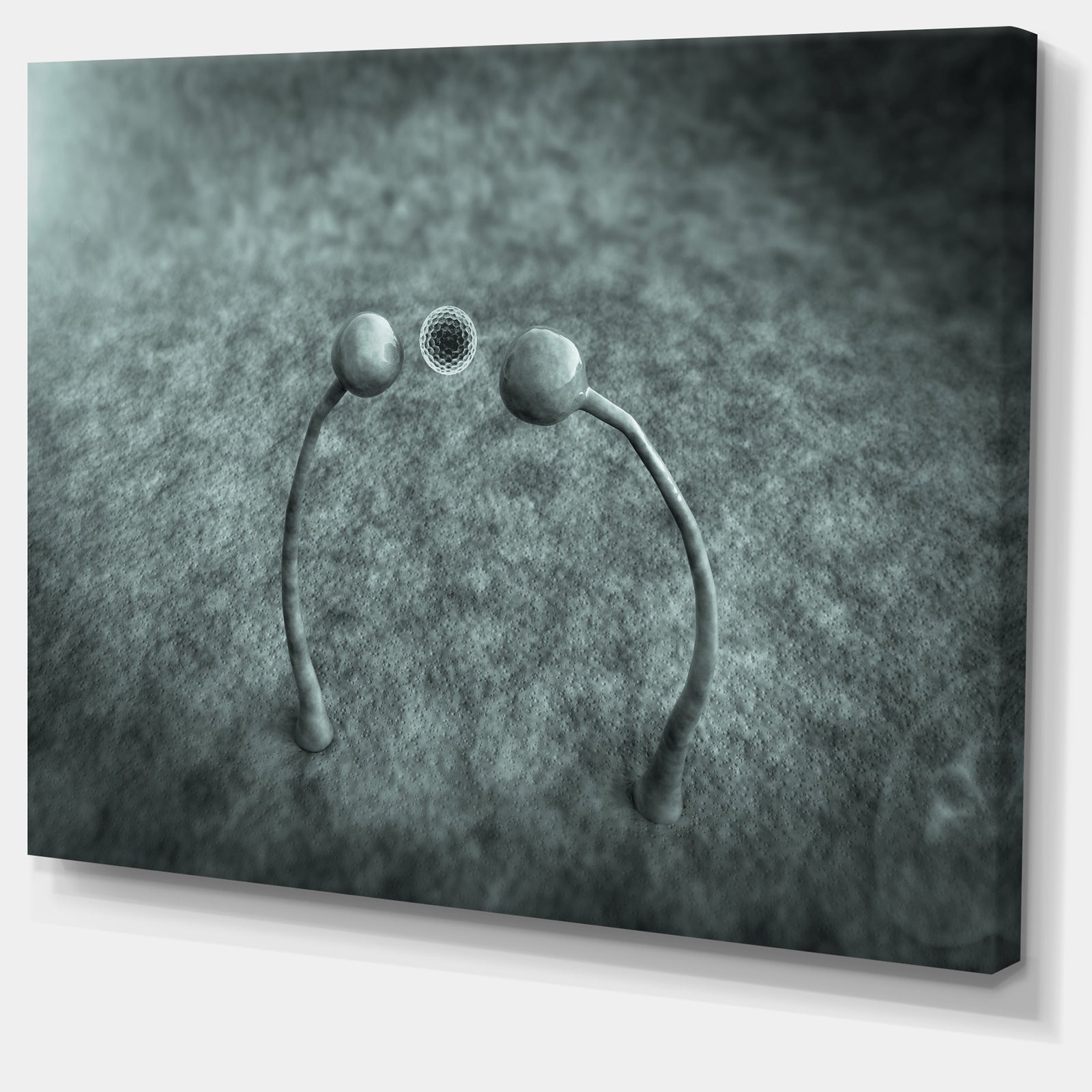 Fungus on Leather Surface - Extra Large Landscape Canvas Art Print