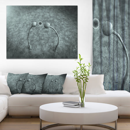 Fungus on Leather Surface - Extra Large Landscape Canvas Art Print