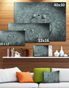 Fungus on Leather Surface - Extra Large Landscape Canvas Art Print