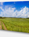 Road in Field with Green Grass - Extra Large Landscape Canvas Art Print