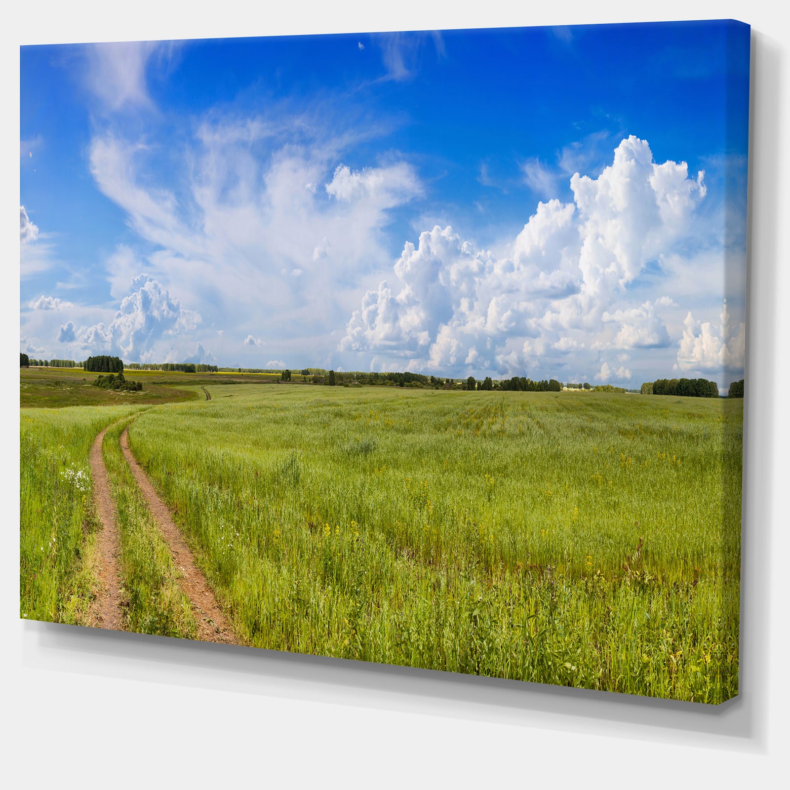 Road in Field with Green Grass - Extra Large Landscape Canvas Art Print