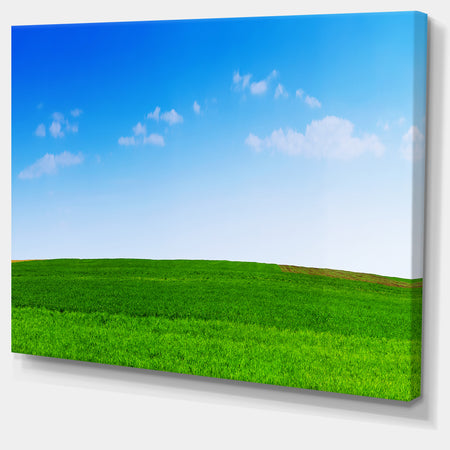 Green Meadow Panorama - Large Landscape Canvas Art Print