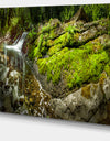 Creek Moss and Rocks Panorama - Extra Large Landscape Canvas Art Print