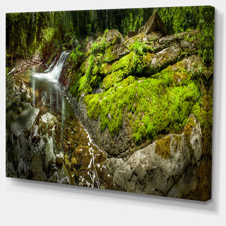 Creek Moss and Rocks Panorama - Extra Large Landscape Canvas Art Print