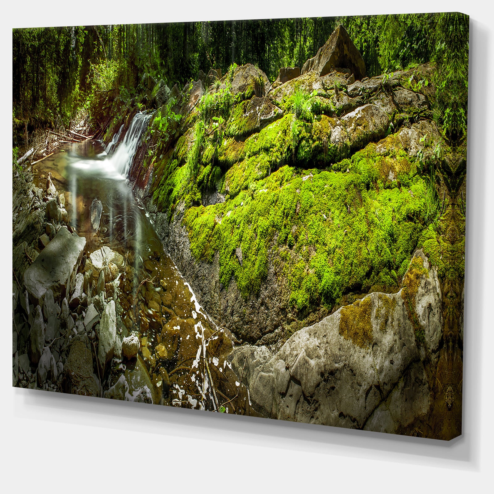 Creek Moss and Rocks Panorama - Extra Large Landscape Canvas Art Print