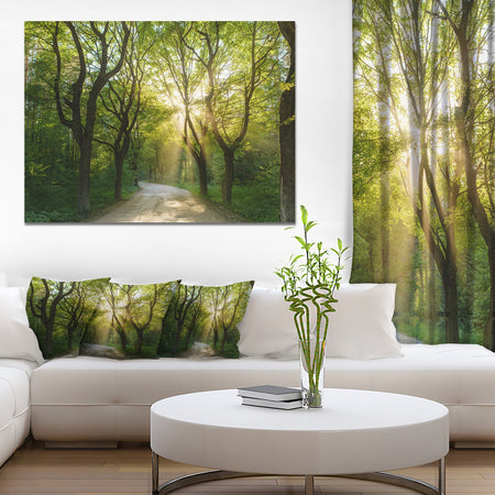 Evening in Green Forest - Extra Large Landscape Canvas Art Print