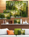 Evening in Green Forest - Extra Large Landscape Canvas Art Print