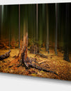 Dark Fall Forest on Foggy Morning - Large Landscape Canvas Art Print