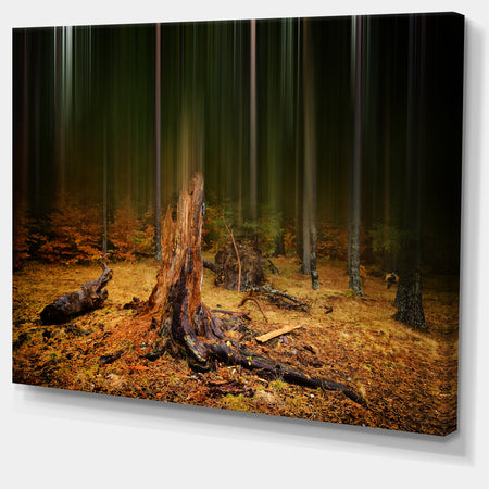 Dark Fall Forest on Foggy Morning - Large Landscape Canvas Art Print