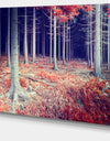 Beautiful Fall Forest Panorama - Extra Large Landscape Canvas Art Print