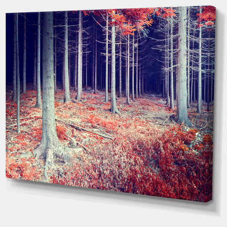 Beautiful Fall Forest Panorama - Extra Large Landscape Canvas Art Print