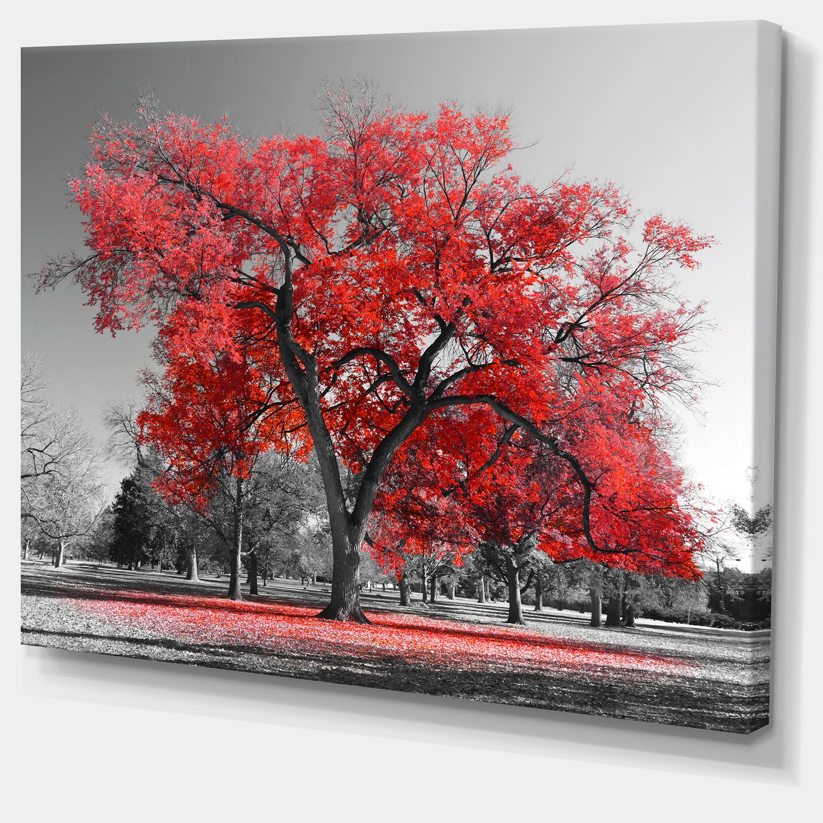 Big Red Tree on Foggy Day - Large Landscape Canvas Art Print